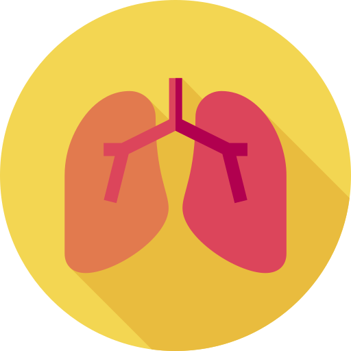 lungs