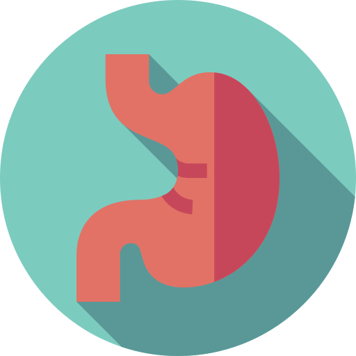 stomach